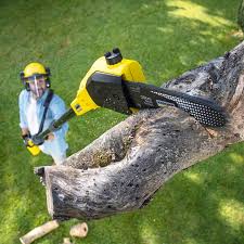 Best Tree Disease Treatment  in Eming Island, FL